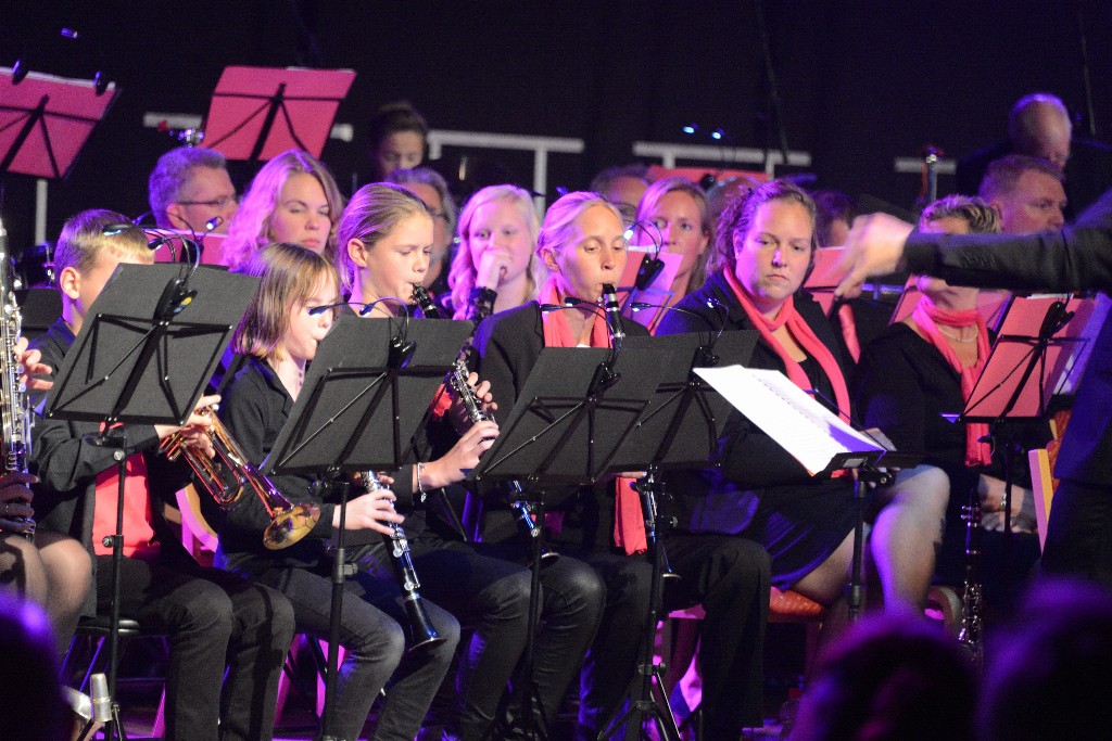 ../Images/Jubileumconcert 100 jaar Harpe Davids 130.jpg
